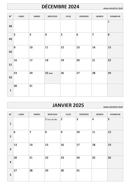 Calendrier décembre 2024 janvier 2025, portrait, gris.