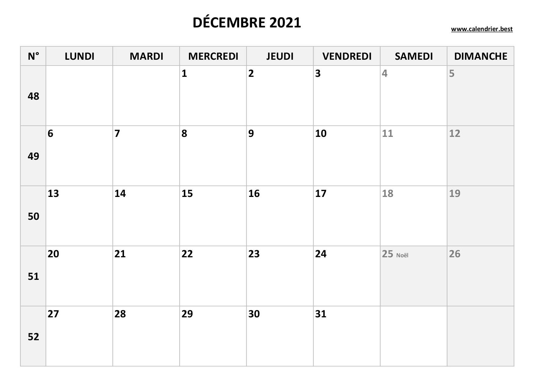 Agenda 2021 pro: semainier calendrier de décembre 2020 à janvier